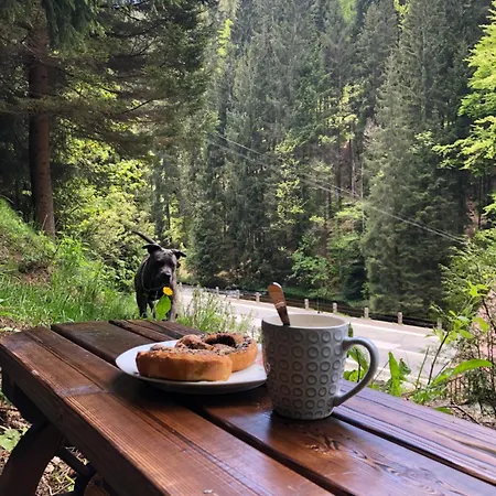 Roubenka Volsky Dul *