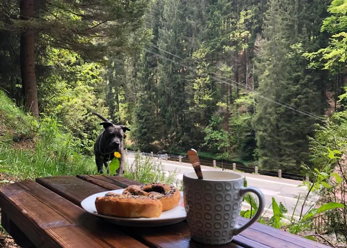 Roubenka Volsky Dul *