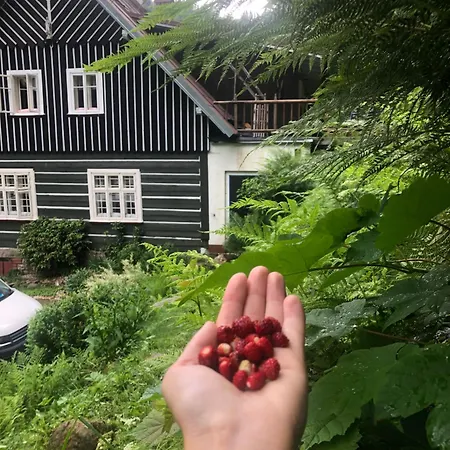 Roubenka Volsky Dul * Špindlerŭv Mlýn