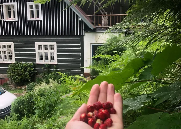 Roubenka Volsky Dul * Špindlerŭv Mlýn
